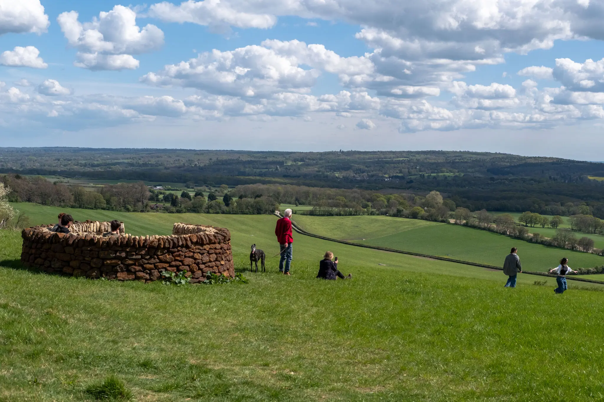 «Коколіт» – витвір мистецтва в Сурреї з видом на Норт-Даунс, натхненний доісторичними морськими організмами, що утворили крейдяні відкладення Англії.